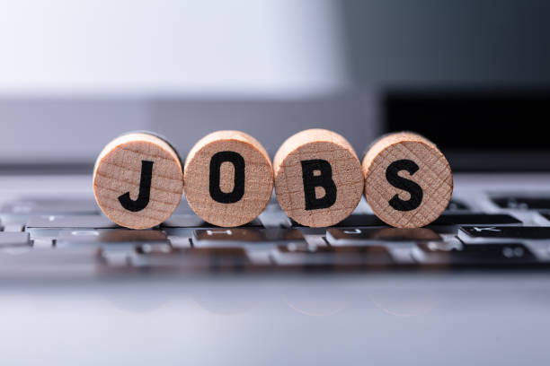 Medical Billing and Coding Expert